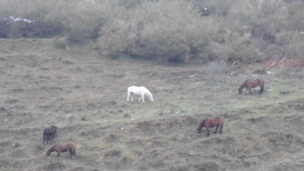 El Rincon De Zaldierna Bagian luar foto