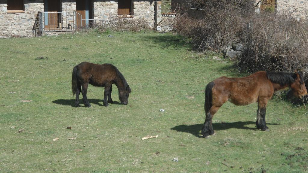 El Rincon De Zaldierna Bagian luar foto
